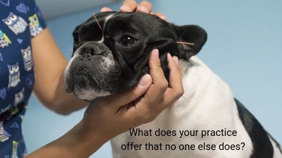 A dog receiving acupuncture treatment