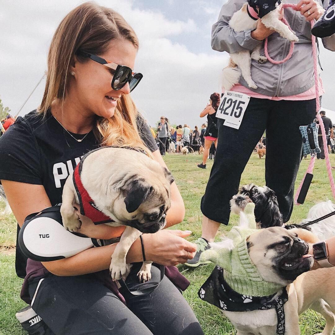 Annie the Pug meets a pug dressed like Yoda