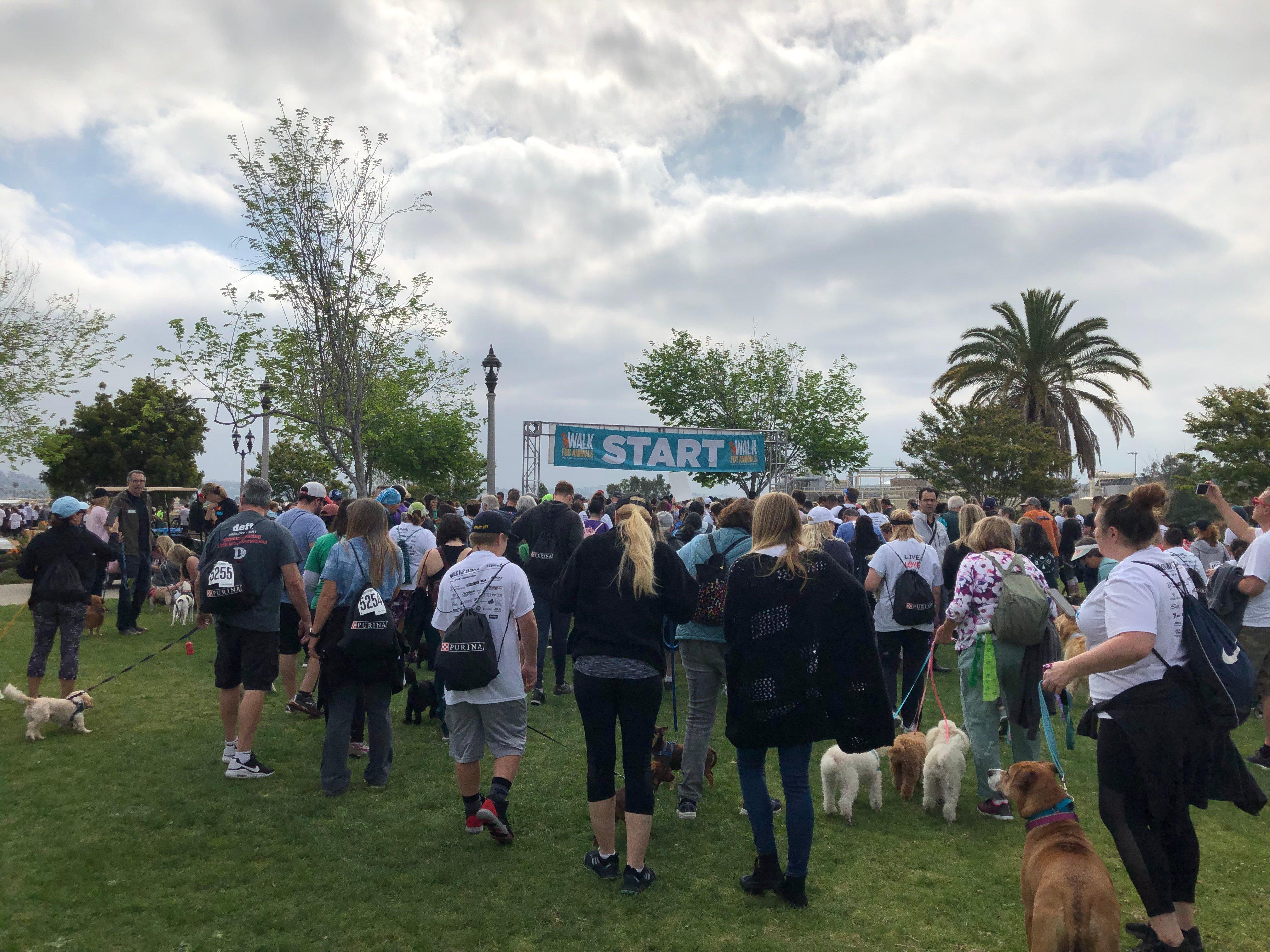 The crowd at the start of the walk