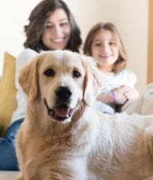 A Veterinarian’s Guide to At Home Pet Vaccinations: The Pros, Cons, and Risks to Be Aware Of