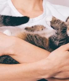 The Cost of Pet Ownership: Understanding How to Budget for a Dog or Cat’s Lifetime Expenses