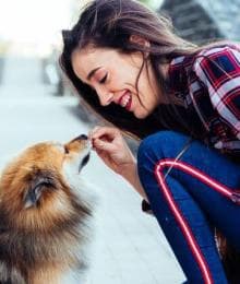 Unleashing Good Behavior: When&rsquo;s the Right Time for Dog Training?