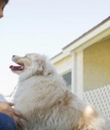 Dog Boarding FAQs and the Answers You Need to Enjoy Your Vacay