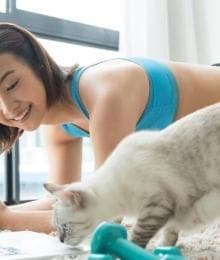 How To Train Your Cat (Not a Kids Movie!)