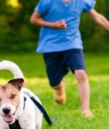 What You Need to Know About the Recent Rise in Dog Bites to Keep Your Kids Safe