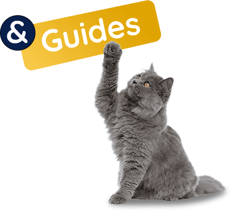 cat and dog guides