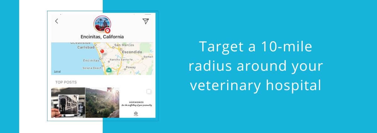 Target a 10-mile radius around your veterinary hospital