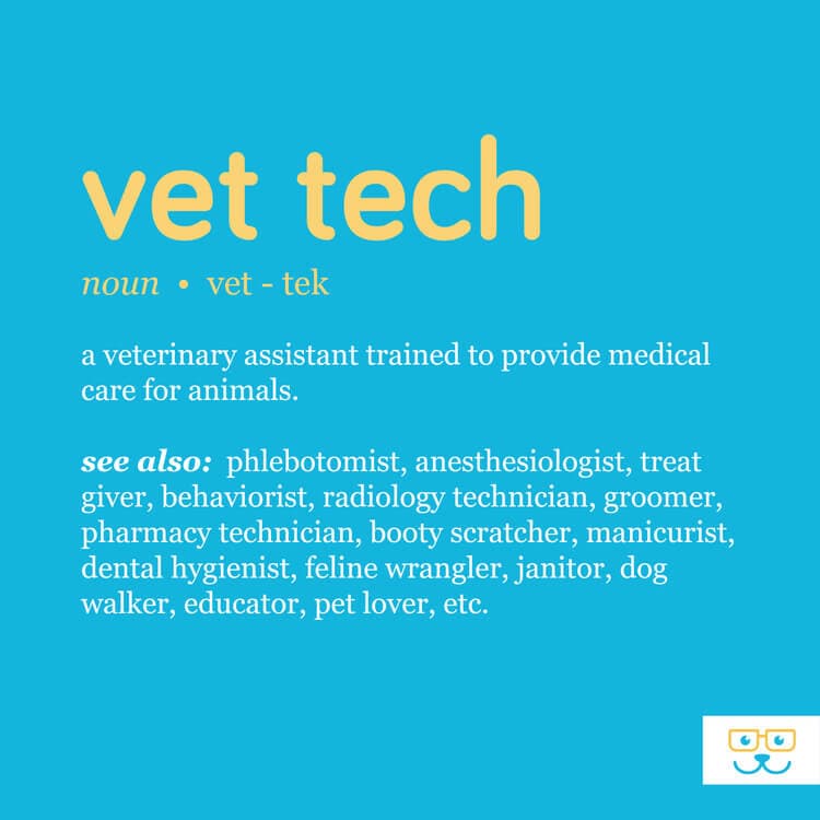 Vet Tech Job Discription