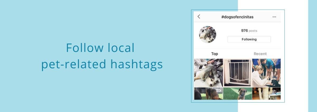 Follow local pet-related hashtags