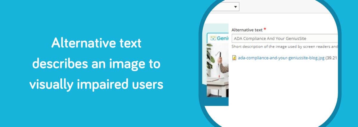 Alternative text describes an image to visually impaired users