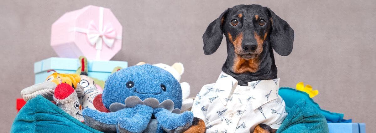 Dog with pile of toys - Cycle toys so they seem new and exciting