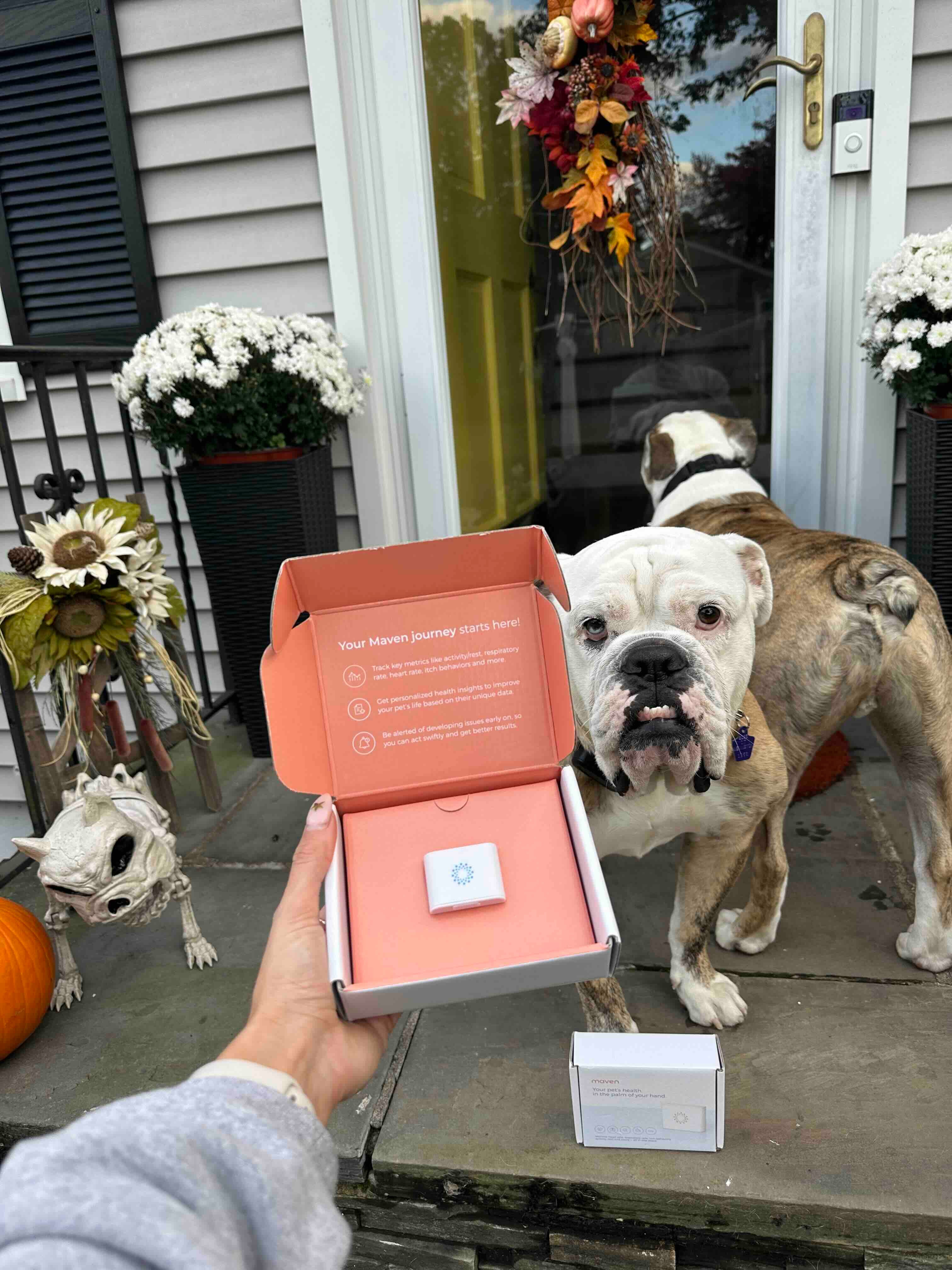 Dog Health Tracker