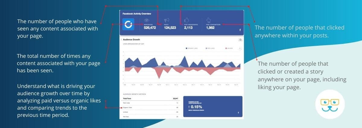 Our Monthly Marketing Reports Help You Make Sense of Your Data