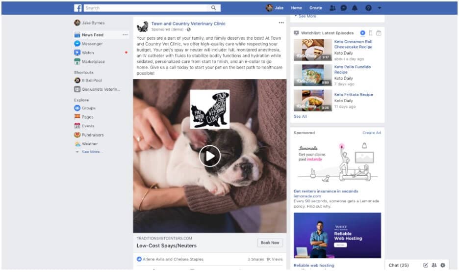 PPC Facebook Ads for Veterinarians