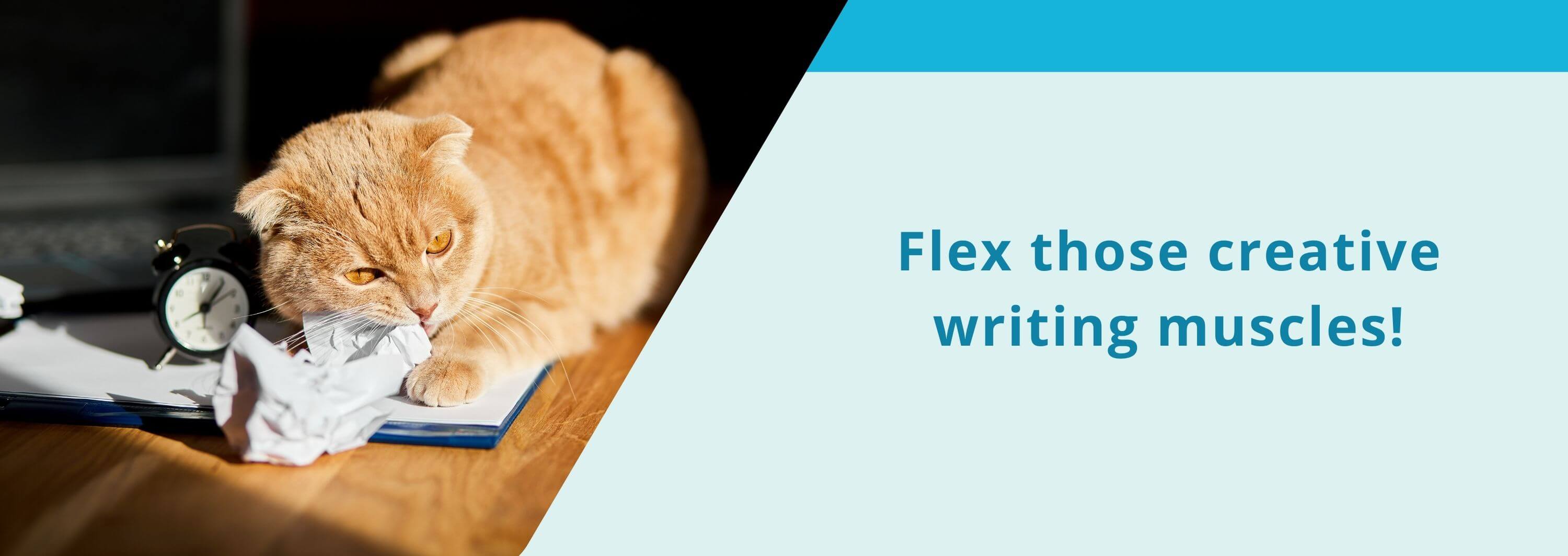 Flex those creative writing muscles!