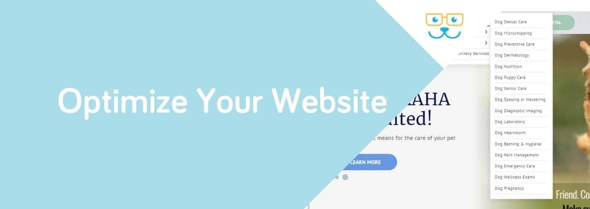 Optimize Your Website