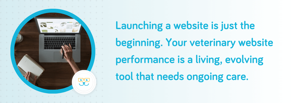 Launching a website is just the beginning.