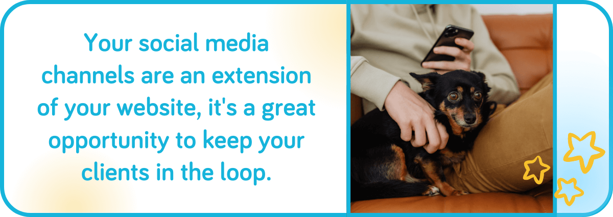 Your social media channels are an extension of your website