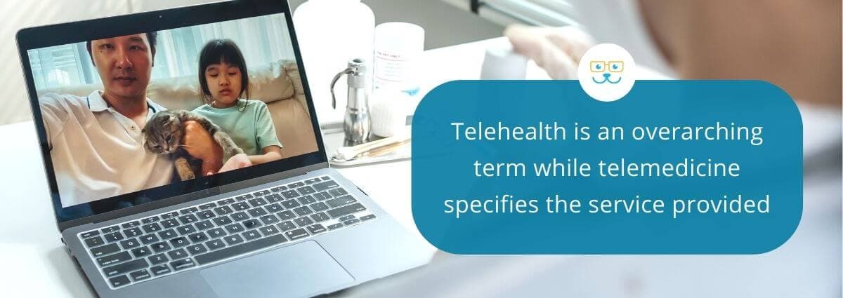 Telehealth is an overarching term while telemedicine specifies the service provided