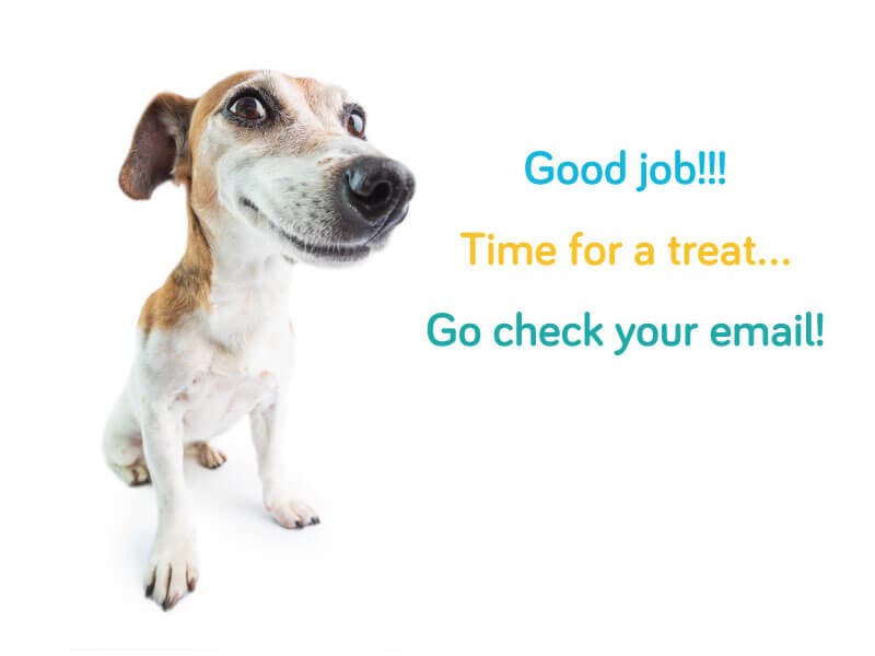 Check your email for your veterinary marketing download
