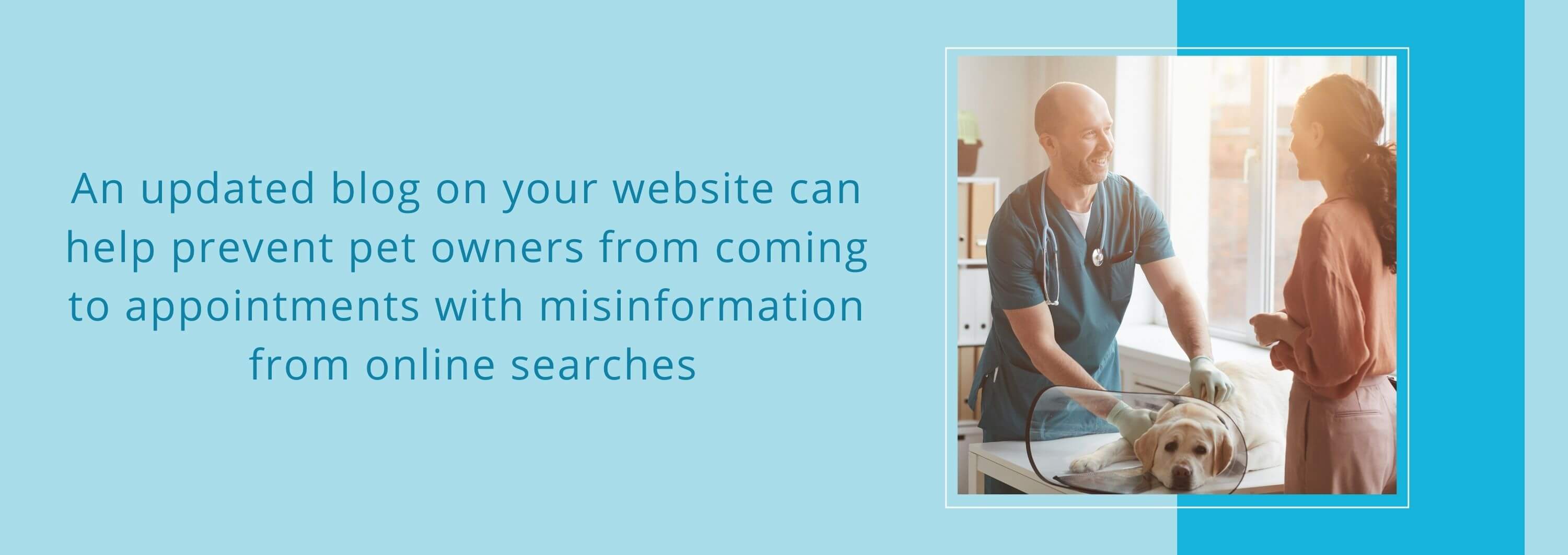 An updated blog on your website can help prevent pet owners from coming to appointments with misinformation from online searches