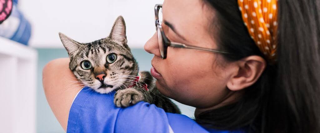 They love your pet like their own, vet tech loving on cat