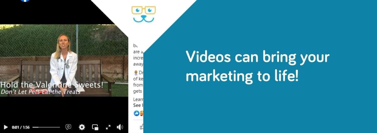 Videos can bring your marketing messages to life