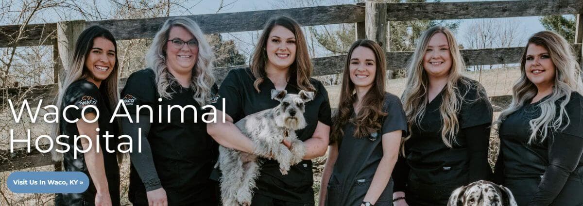 Waco Animal Hospital website