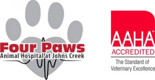 <span>Four Paws Animal Hospital</span>
logo