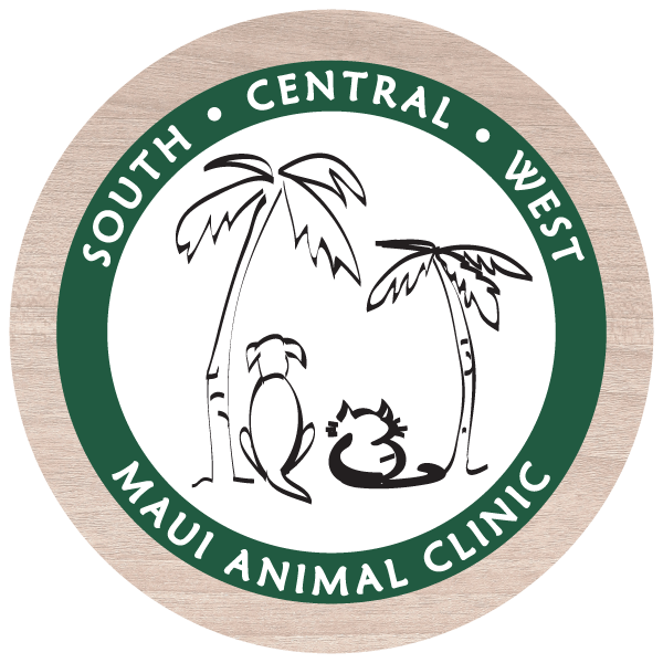<span>West Maui Animal Clinic</span>
logo