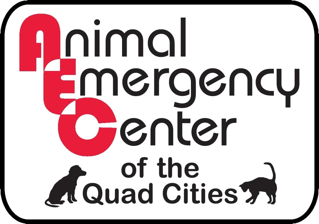 <span>Animal Emergency Center</span>
logo