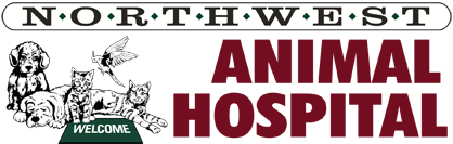 <span>Northwest Animal Hospital</span>
logo