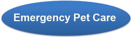 <span>Emergency Pet Care</span>
logo