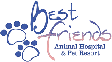<span>Best Friends Animal Hospital & Pet Resort</span>
logo