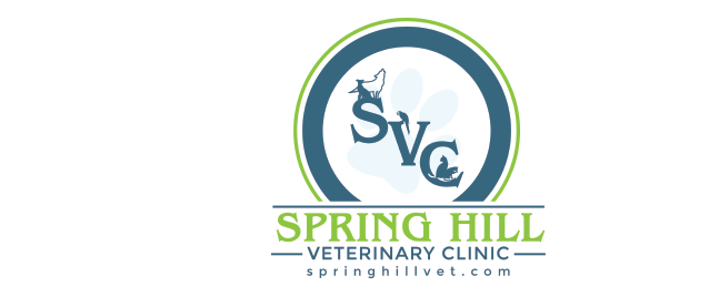 <span>Spring Hill Veterinary Clinic</span>
logo