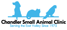 <span>Chandler Small Animal Clinic</span>
logo