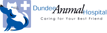 <span>Dundee Animal Hospital of Elgin</span>
logo