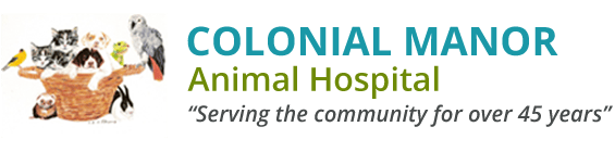 <span>Colonial Manor Animal Hospital</span>
logo