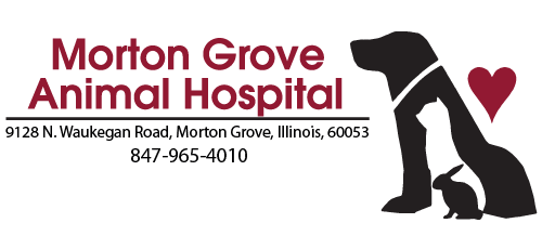 <span>Morton Grove Animal Hospital</span>
logo