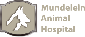 <span>Mundelein Animal Hospital</span>
logo