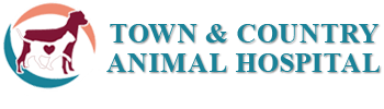 <span>Town & Country Animal Hospital Ltd</span>
logo