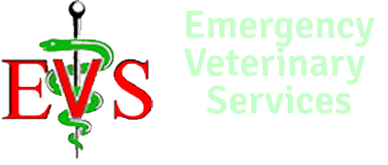 <span>Emergency Veterinary Service</span>
logo