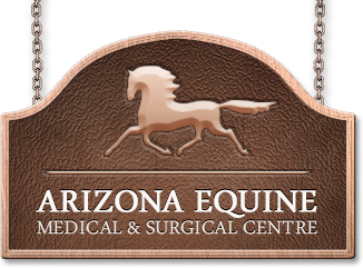 <span>Arizona Equine Medical & Surgical Centre</span>
logo