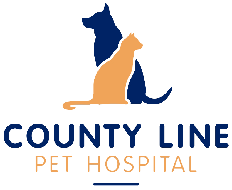 <span>County Line Pet Hospital</span>
logo