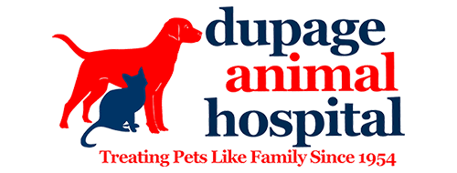 <span>Dupage Animal Hospital</span>
 logo
