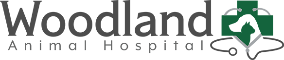 <span>Woodland Animal Hospital</span>
logo