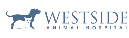 <span>Westside Animal Hospital</span>
logo