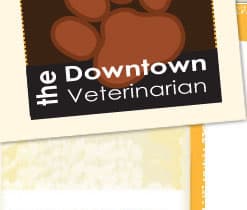 <span>Downtown Veterinarian</span>
logo