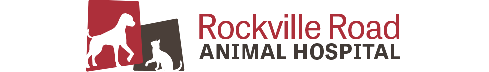 <span>Rockville Road Animal Hospital</span>
logo