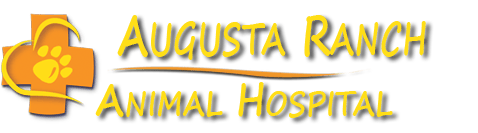 <span>Augusta Ranch Animal Hospital</span>
logo